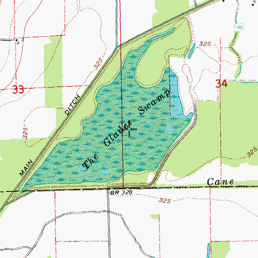 Topographic Map of The Glades Swamp, MO