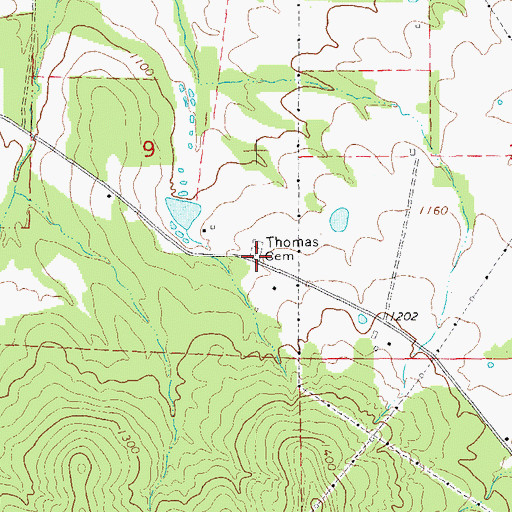 Topographic Map of Thomas Cemetery, MO