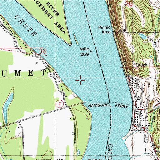 Topographic Map of Thomas Chute, MO