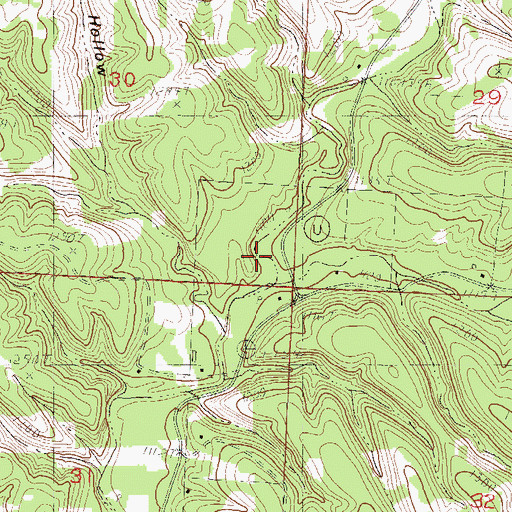 Topographic Map of Thomas Hollow, MO