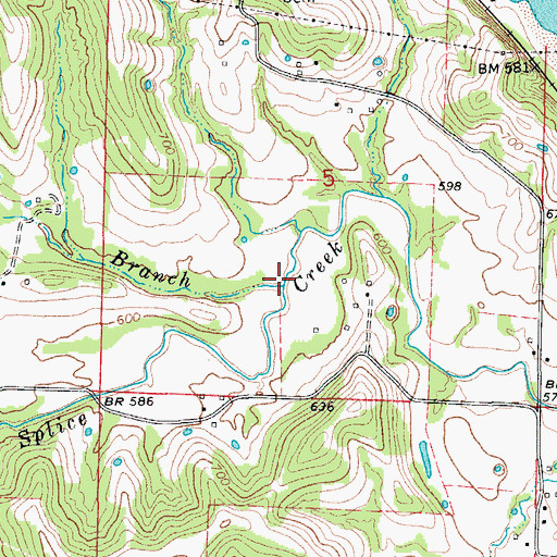 Topographic Map of Thompson Branch, MO