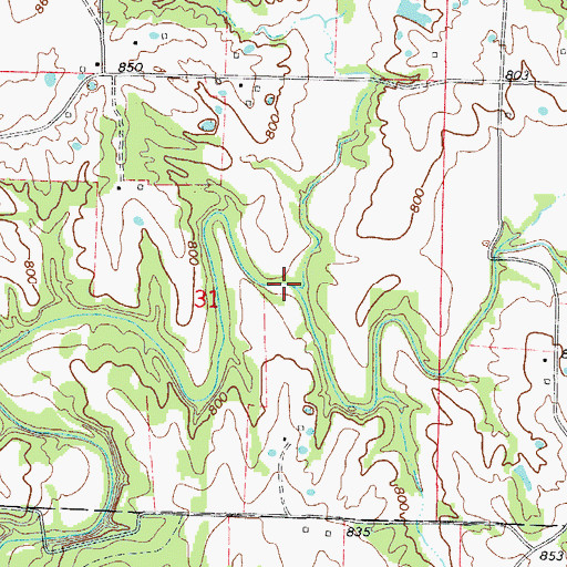 Topographic Map of Thompson Branch, MO