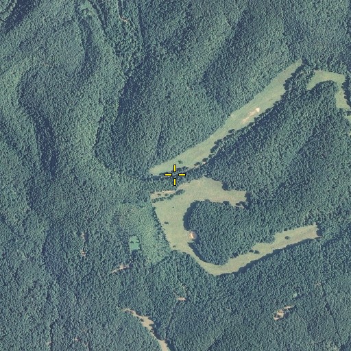 Aerial/Satellite Image of Thompson Spring, MO