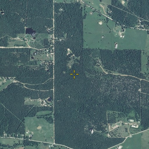Aerial/Satellite Image of Togleson Cemetery, MO