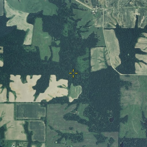 Aerial/Satellite Image of Tom Branch, MO