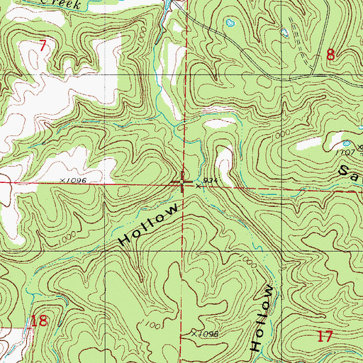Topographic Map of Tom Lock Hollow, MO