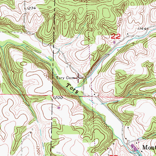 Topographic Map of Tory Cemetery, MO