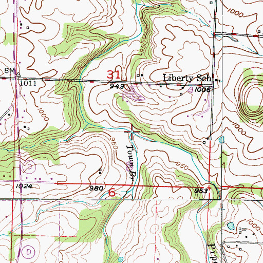 Topographic Map of Town Branch, MO
