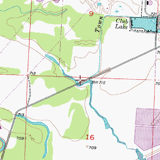 Topographic Map of Town Creek, MO