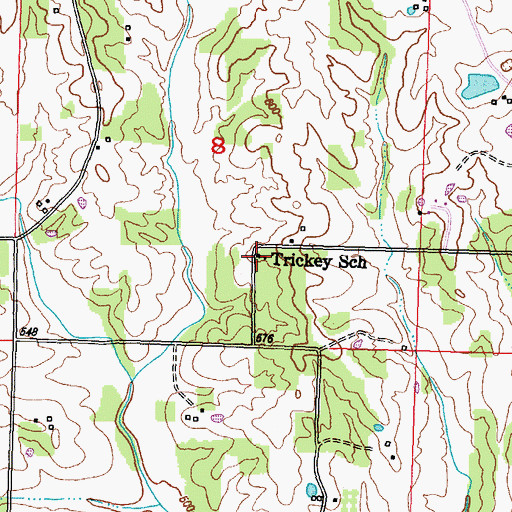 Topographic Map of Trickey School, MO