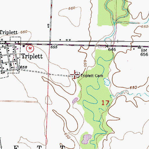 Topographic Map of Triplett Cemetery, MO