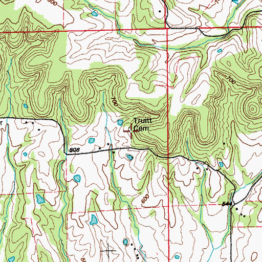 Topographic Map of Truitt Cemetery, MO