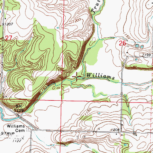Topographic Map of Truitt Creek, MO