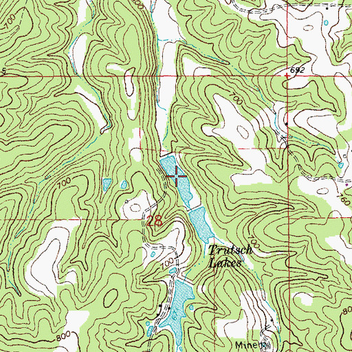 Topographic Map of Trutsch Lake, MO