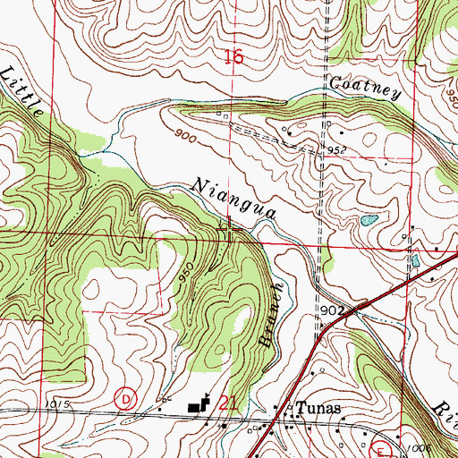 Topographic Map of Tunas Branch, MO