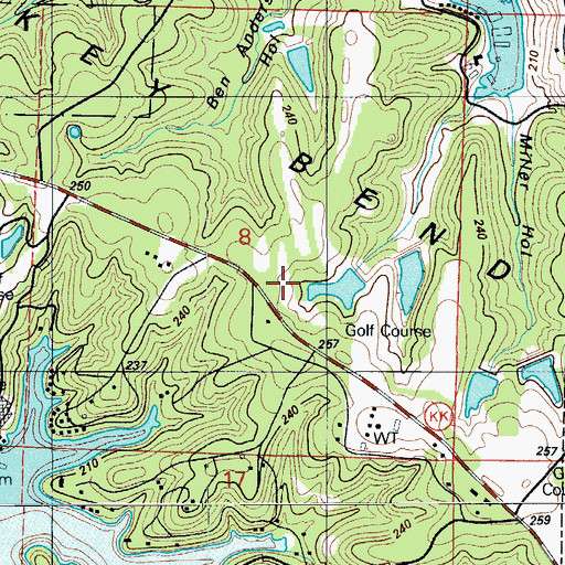 Topographic Map of Turkey Bend, MO