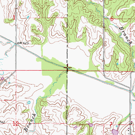 Topographic Map of Turkey Branch, MO