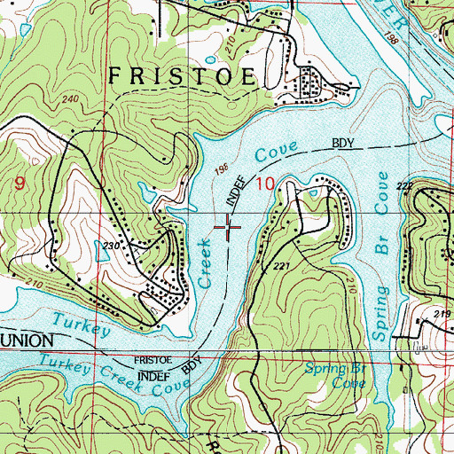 Topographic Map of Turkey Creek Cove, MO