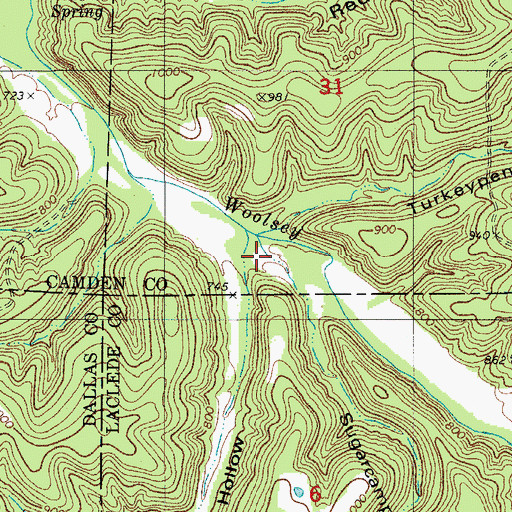 Topographic Map of Turkeypen Hollow, MO
