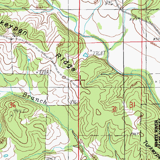 Topographic Map of Turkeypen Ridge, MO