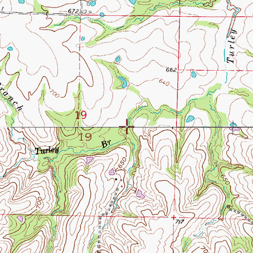 Topographic Map of Turley Branch, MO