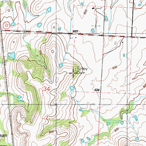 Topographic Map of Turley Cemetery, MO