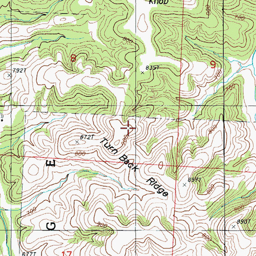 Topographic Map of Turn Back Ridge, MO