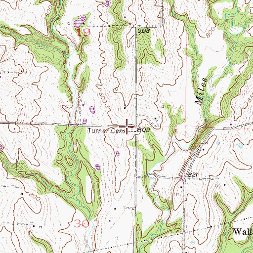 Topographic Map of Turner Cemetery, MO