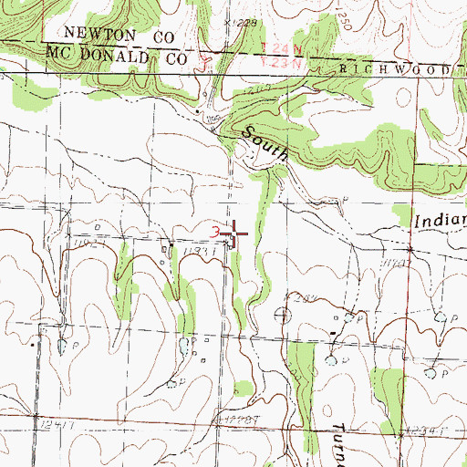 Topographic Map of Turner Hollow, MO