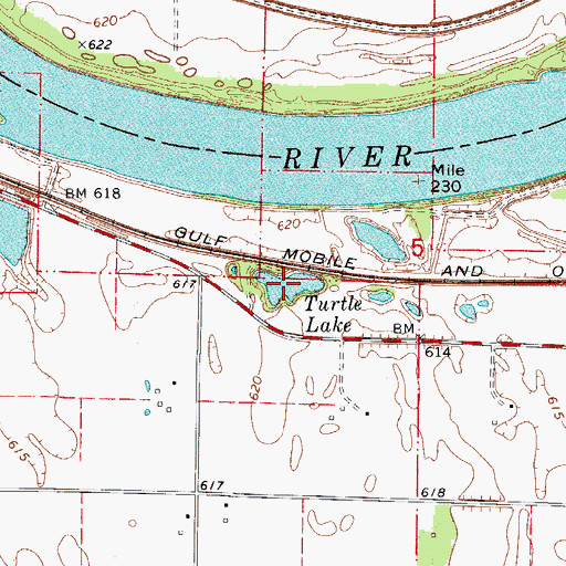 Topographic Map of Turtle Lake, MO