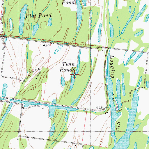 Topographic Map of Twin Ponds, MO