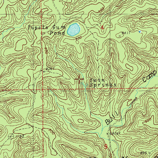 Topographic Map of Twin Springs, MO
