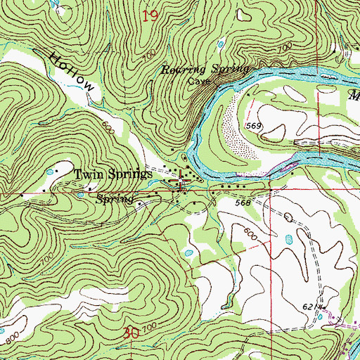 Topographic Map of Twin Springs, MO