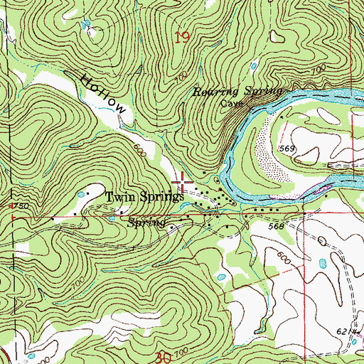 Topographic Map of Twin Springs Hollow, MO
