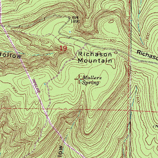 Topographic Map of Mullers Spring, AR