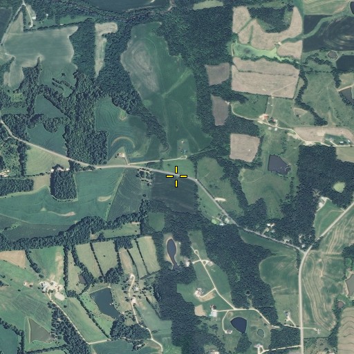 Aerial/Satellite Image of Viedt Cemetery, MO
