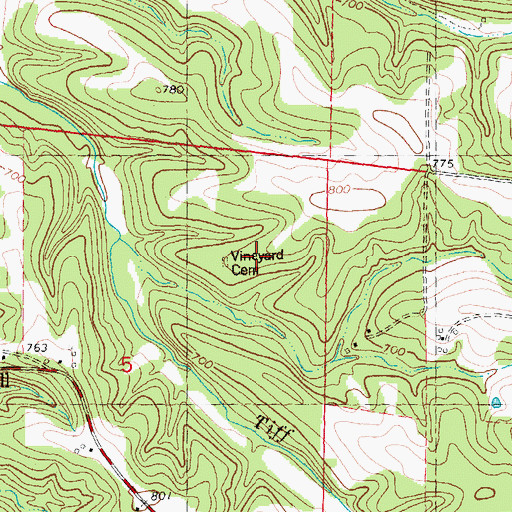 Topographic Map of Vineyard Cemetery, MO