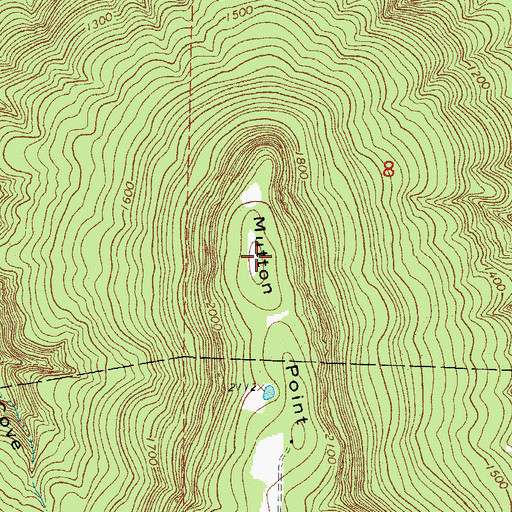 Topographic Map of Mutton Point, AR