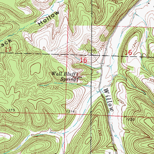 Topographic Map of Wall Bluff Spring, MO