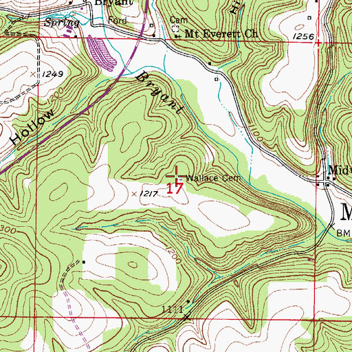 Topographic Map of Wallace Cemetery, MO