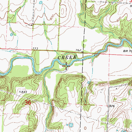 Topographic Map of Walnut Branch, MO