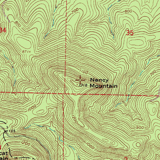 Topographic Map of Nancy Mountain, AR