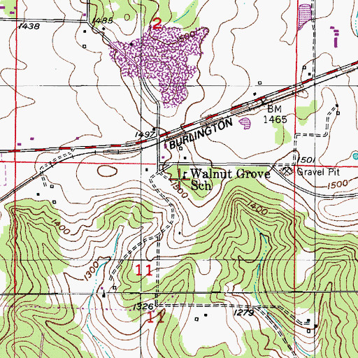 Topographic Map of Walnut Grove School, MO
