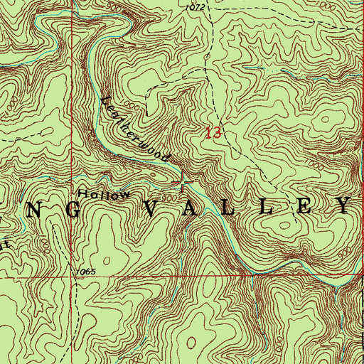 Topographic Map of Walnut Hollow, MO