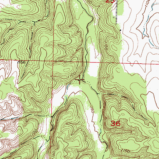 Topographic Map of Walnut Hollow, MO