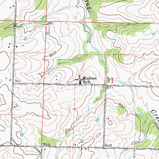 Topographic Map of Walnut School, MO