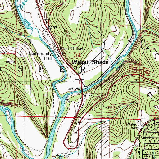 Topographic Map of Walnut Shade, MO