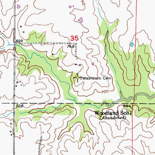 Topographic Map of Washburn Cemetery, MO