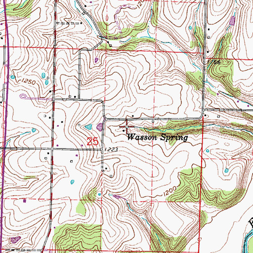 Topographic Map of Wasson Spring, MO
