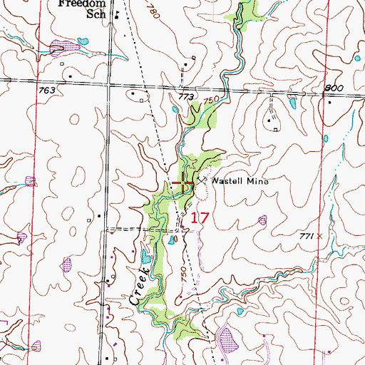 Topographic Map of Wastell Mine, MO